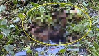 Thi thể cô gái được tìm thấy dưới sông Vàm Cỏ Đông sau nhiều ngày mất tích