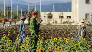 Sẵn sàng cho Hội nghị APCCA 41 tại Việt Nam