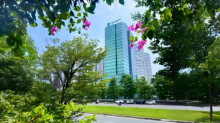 Khám phá không gian xanh ở “đại bản doanh” VNPT VinaPhone