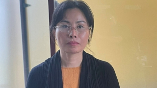 Giả các giấy tờ nhà đất, lừa đảo chiếm đoạt hơn 88 tỷ đồng