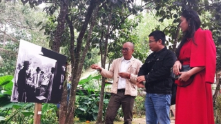 Cung đường nghệ thuật ở Đà Lạt kéo dài 6 tháng