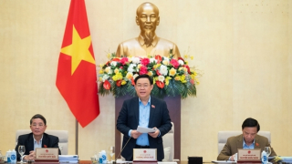 Đề nghị bổ sung quy định kiểm soát việc bỏ cọc khi đấu giá