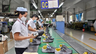 Việt Nam thiếu hụt trầm trọng chuyên gia thực thi FTA