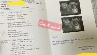 Thừa Thiên-Huế: Triệt phá đường dây mang thai hộ và mua bán thận liên tỉnh