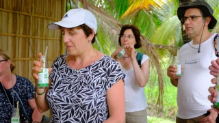 Livestream bán hàng nông sản tiếp cận thị trường Trung Quốc