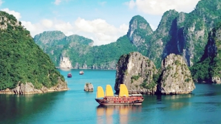 Ứng xử với di sản văn hóa