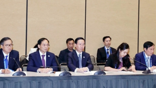 Hợp tác doanh nghiệp là nền tảng thúc đẩy quan hệ Việt Nam-Hoa Kỳ