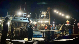 Mạnh tay xử lý, ngăn chặn những “hung thần” ven biển