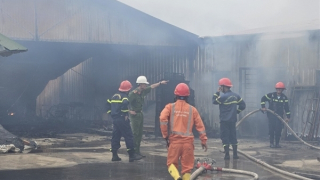 Cháy lớn, khói đen bao phủ hàng nghìn mét vuông tại trang trại nấm