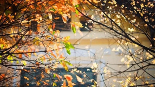 Ba miền trời nắng đẹp, vùng núi Bắc Bộ đề phòng sương muối