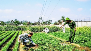 Bền bỉ đánh thức mầm thiện