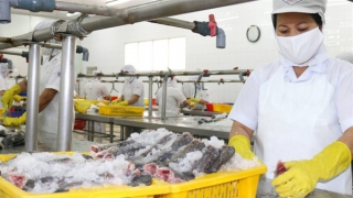 Dư địa lớn cho ngành xuất khẩu thủy sản tại thị trường Trung Quốc