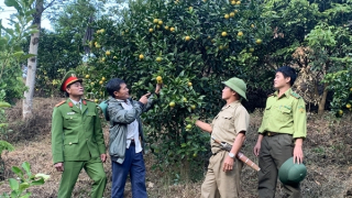 Sơn La: Giảm nghèo bền vững gắn với đảm bảo quốc phòng, an ninh