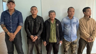 Hai cha con bị khởi tố vì loạn đả