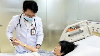 Cứu sống bệnh nhân bị ong bắp cày đốt nguy kịch