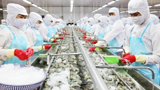 Giải bài toán tín dụng để hỗ trợ doanh nghiệp tận dụng hiệu quả FTA