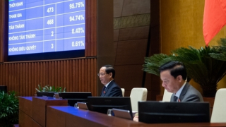 Tên miền quốc gia Việt Nam “.vn” sẽ được đấu giá theo phương thức trả giá lên