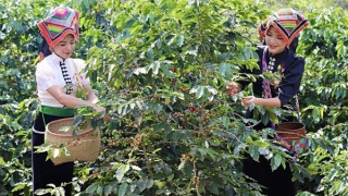 Chuyển đổi xanh xuất khẩu để đáp ứng "luật chơi" mới