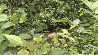 Người đàn ông tử vong dưới mương nước sau nhà