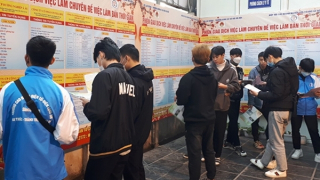 Tuyển dụng lao động cuối năm dần sôi động