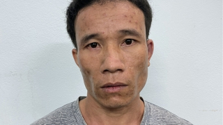 Việt "chân nhện” đã sa lưới