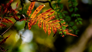 Trên đỉnh U Bò kỳ vĩ