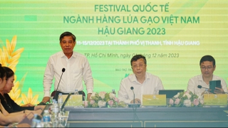 Lần đầu tổ chức Festival Quốc tế ngành hàng lúa gạo