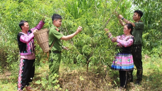 Ngược miền biên viễn làm con đồng bào