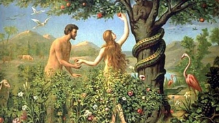 Rắn - những đối sánh biểu tượng!