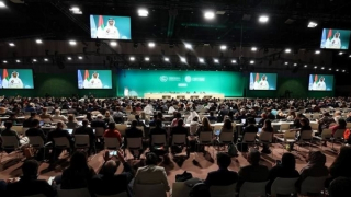 Lời kêu gọi hợp tác toàn cầu về khí hậu