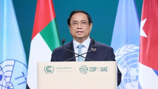 Thủ tướng kết thúc chuyến công tác dự COP28 và thăm chính thức Thổ Nhĩ Kỳ