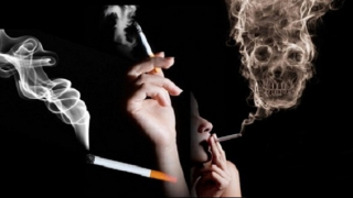 Mỗi năm tiêu tốn hàng nghìn tỷ đồng cho “gánh nặng” bệnh tật do thuốc lá gây ra