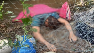 Chủ vườn chết bất thường tại chòi giữ cam