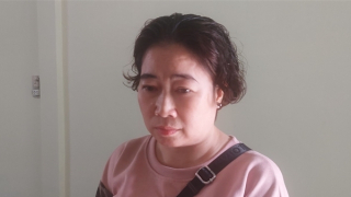 Sử dụng các loại giấy tờ giả, người phụ nữ chiếm đoạt hơn 10 tỷ đồng