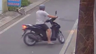 Giả danh làm từ thiện đến quay phim rồi trộm gần 2 lượng vàng của người già