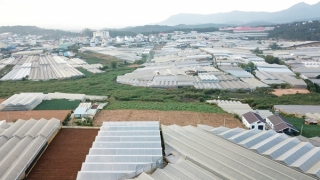 Hủy 213 thông báo thu hồi đất tại dự án dân cư lớn nhất Đà Lạt