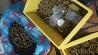 Triệt phá đường dây cần sa, lộ diện đại lý là chủ quán pub