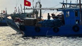 Đang làm rõ việc 1 phóng viên ở Quảng Ninh bị hành hung, hủy hoại tài sản khi tác nghiệp