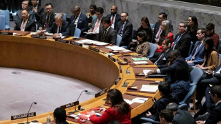 Mỹ phản đối nghị quyết kêu gọi ngừng bắn khẩn cấp tại Gaza