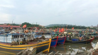 Ngư dân Hải Phòng khốn khổ vì đăng kiểm tàu cá