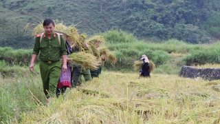 Hiệu quả từ những chuyên đề, mô hình hay (Bài 1)