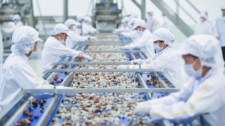 Làm gì để biến “nguy” thành “cơ” trước hàng rào phòng vệ thương mại?