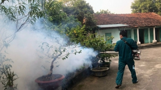 Hà Nội qua đỉnh dịch sốt xuất huyết