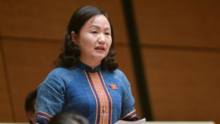 Việc ban hành Luật về năng lượng tái tạo là  cần thiết