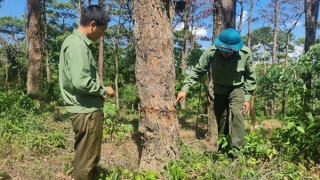 Một huyện ở Quảng Trị thu hồi 71 sổ đỏ do cấp sai quy định