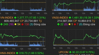 Một cổ phiếu bị hủy niêm yết, hơn 20 cổ phiếu bị đình chỉ giao dịch