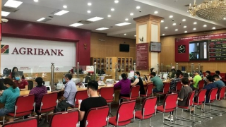 Lãi suất tiết kiệm có kỳ hạn xuống thấp nhất trong lịch sử