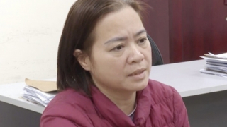 Thuê xe tự lái rồi mang đi bán và cầm cố, nữ quái chiếm đoạt 13 ô tô