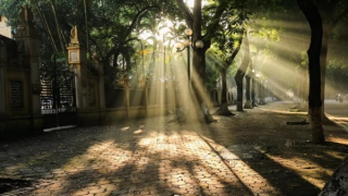 Miền Bắc sáng sương mù, sau hửng nắng ấm, Nam Bộ trời nóng 34 độ C