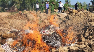 Tiêu hủy gần 51 ngàn gói thuốc lá ngoại nhập lậu